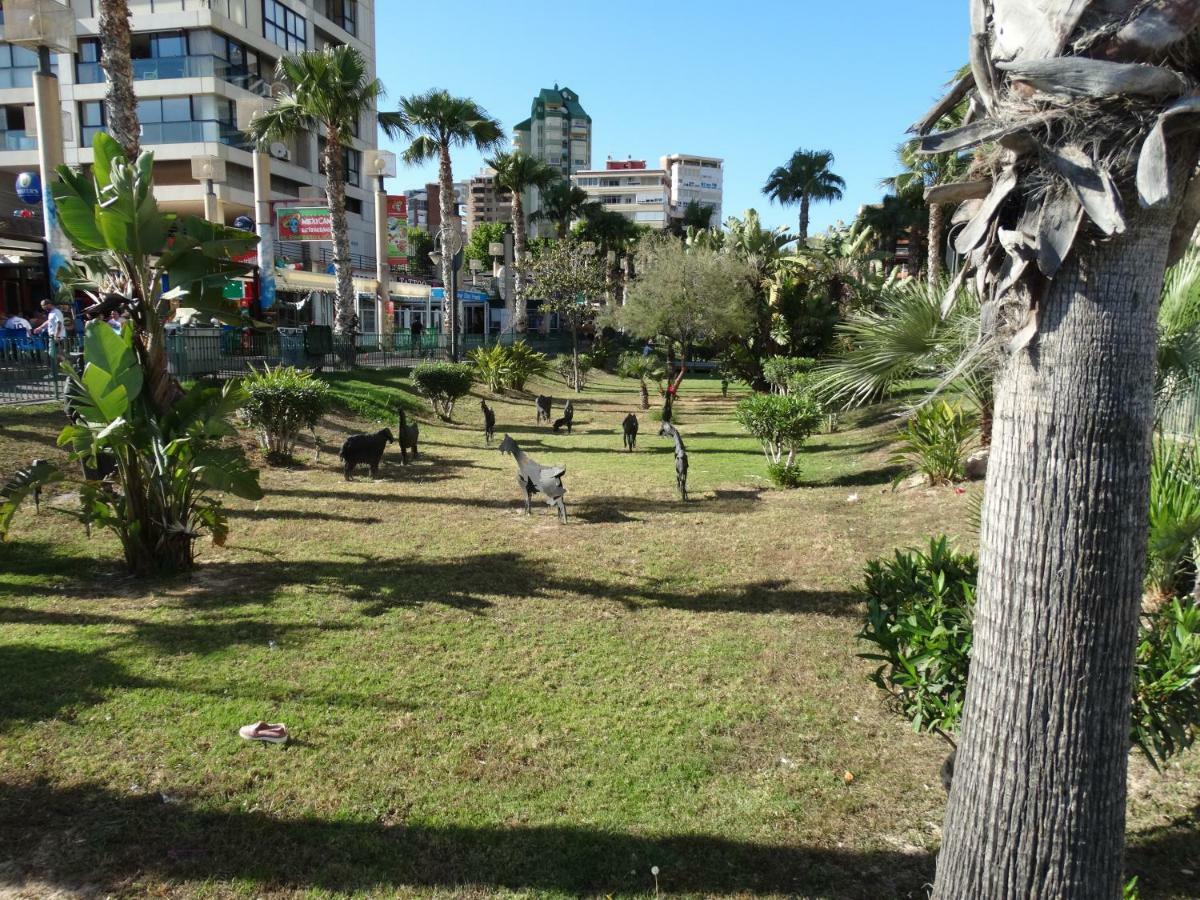 Apartment 2 Bedrooms, 250M Levante Beach Μπένιντορμ Εξωτερικό φωτογραφία